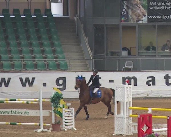 Reitturnier Kreuth/Opf. 2019