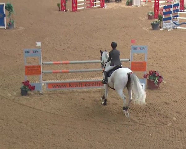 Reitturnier Kreuth/Opf. 2019