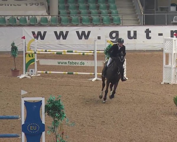 Reitturnier Kreuth/Opf. 2019
