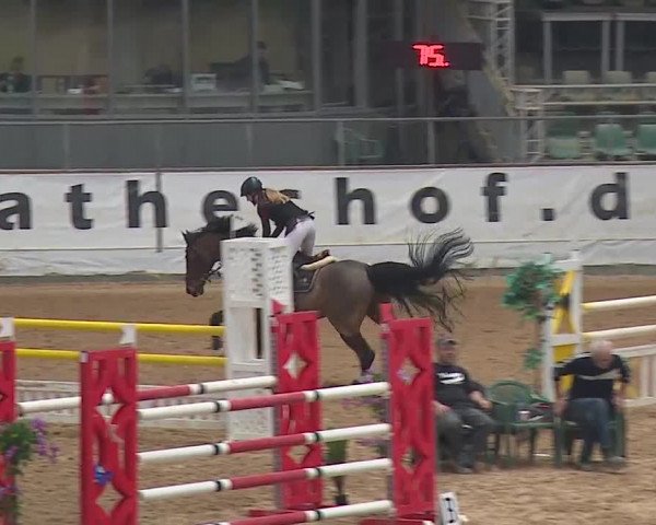 Reitturnier Kreuth/Opf. 2019