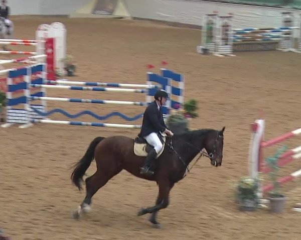 Reitturnier Kreuth/Opf. 2019