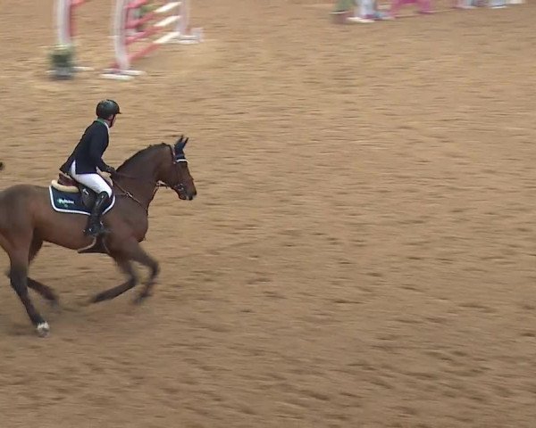 Reitturnier Kreuth/Opf. 2019