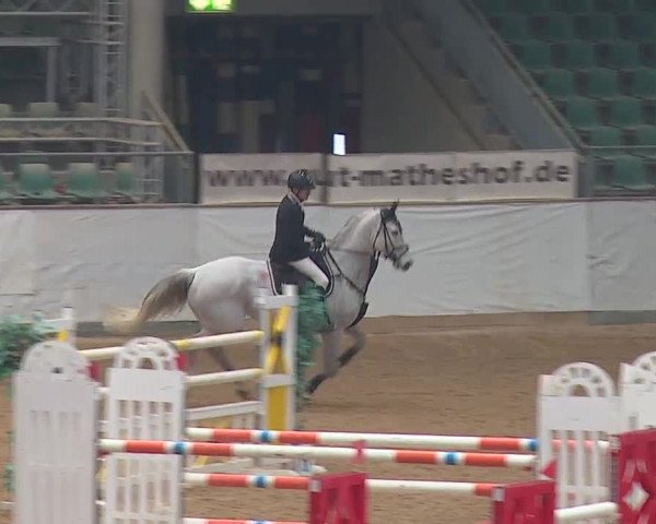 Reitturnier Kreuth/Opf. 2019