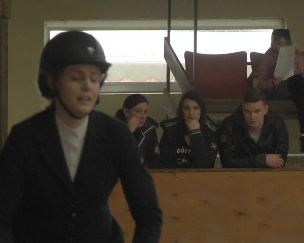 Reitturnier Viernheim 2019