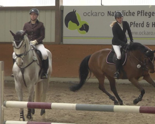 Reitturnier Viernheim 2019