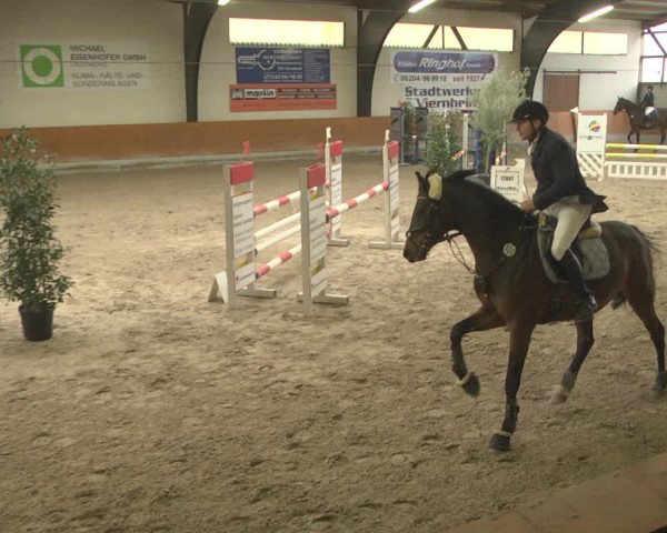 Reitturnier Viernheim 2019
