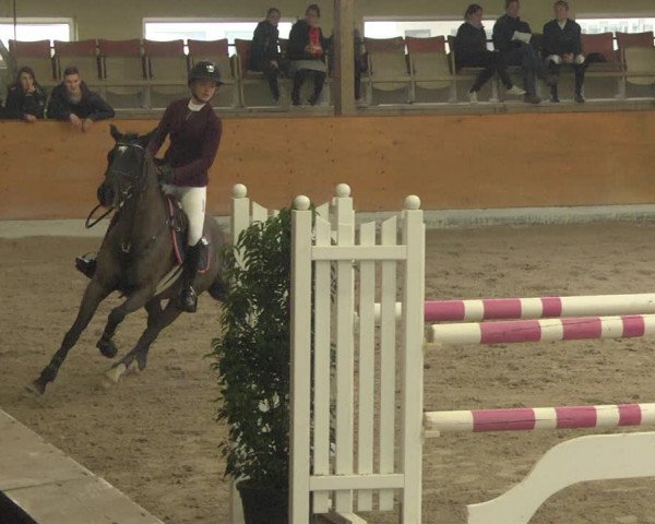 Reitturnier Viernheim 2019