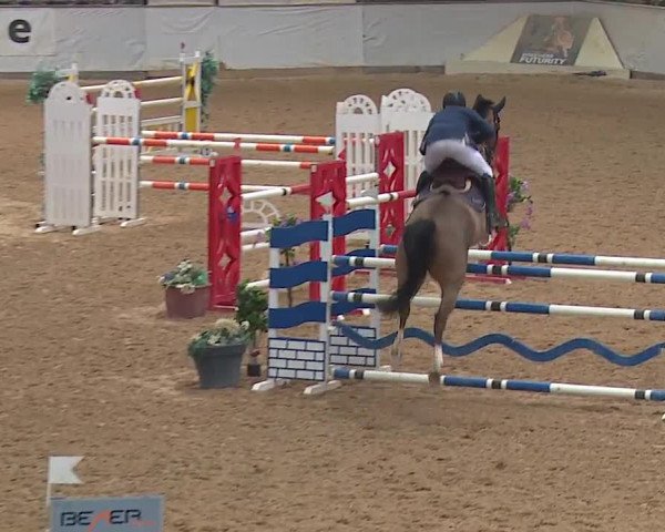 Reitturnier Kreuth/Opf. 2019