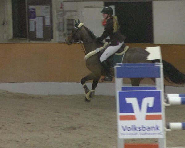 Reitturnier Viernheim 2019