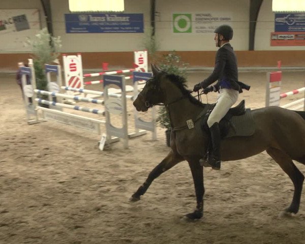 Reitturnier Viernheim 2019