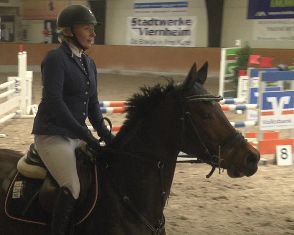 Reitturnier Viernheim 2019