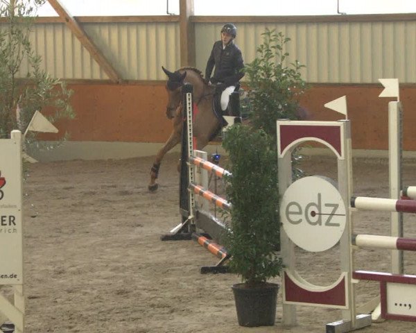 Reitturnier Viernheim 2019