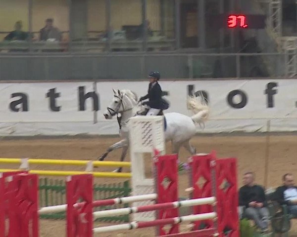 Reitturnier Kreuth/Opf. 2019