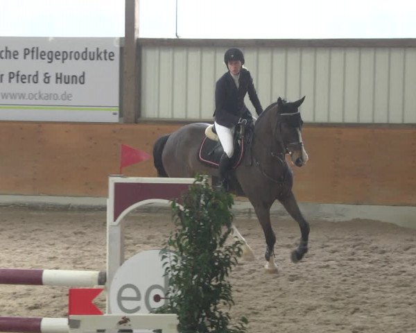 Reitturnier Viernheim 2019