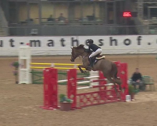 Reitturnier Kreuth/Opf. 2019