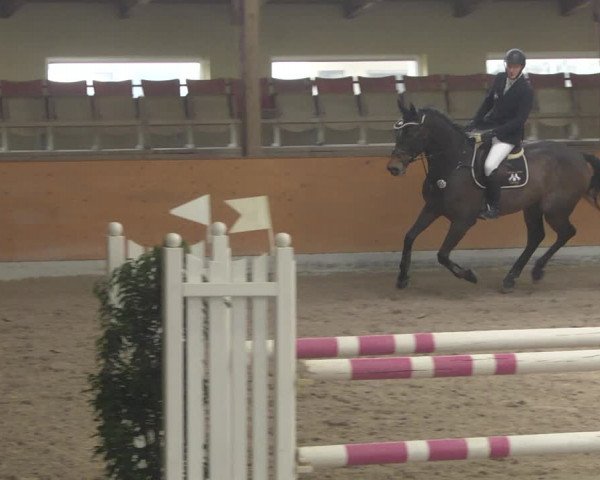 Reitturnier Viernheim 2019