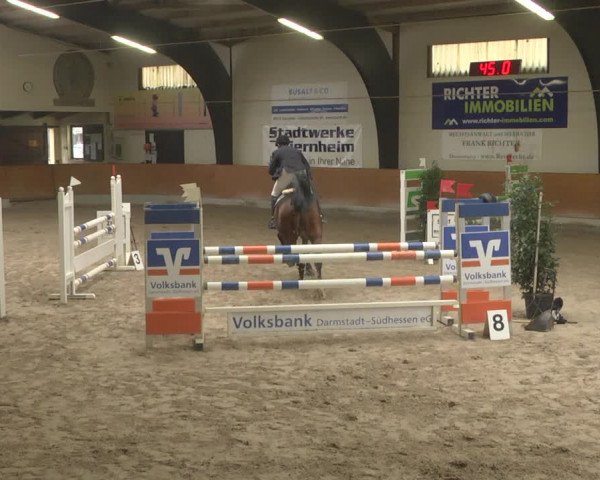 Reitturnier Viernheim 2019