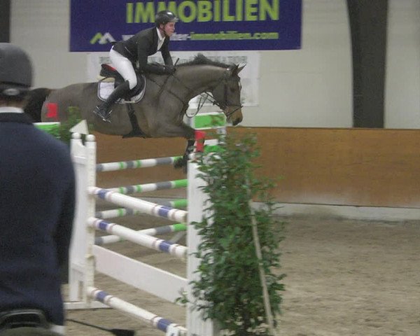 Reitturnier Viernheim 2019