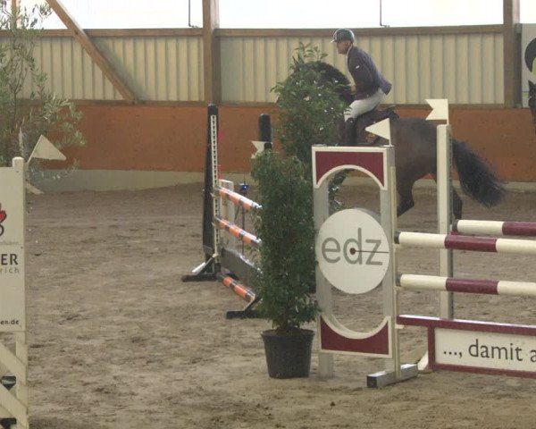 Reitturnier Viernheim 2019