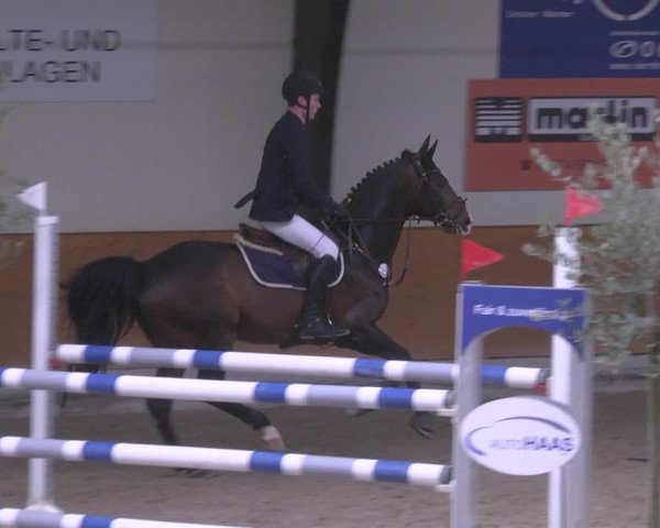 Reitturnier Viernheim 2019