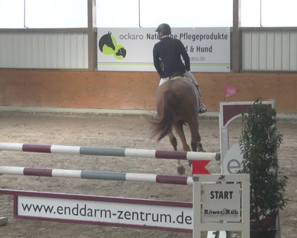 Reitturnier Viernheim 2019