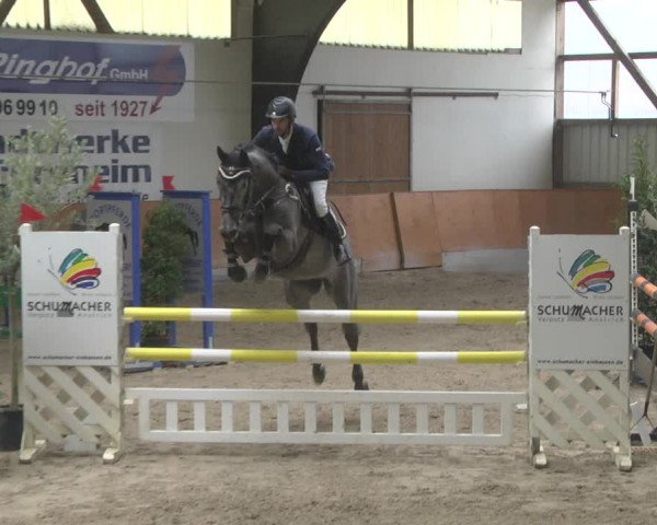 Reitturnier Viernheim 2019