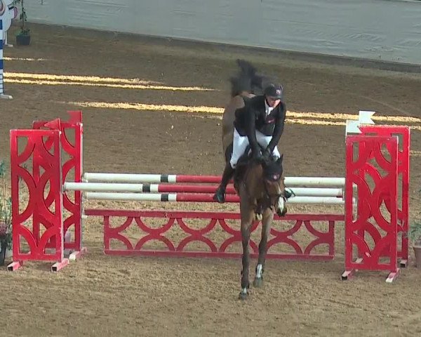 Reitturnier Kreuth/Opf. 2019