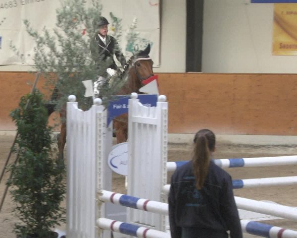 Reitturnier Viernheim 2019
