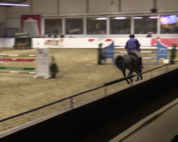 Reitturnier Borken 2019