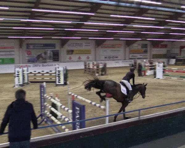 Reitturnier Borken 2019