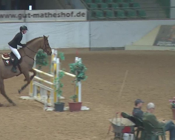 Reitturnier Kreuth/Opf. 2019