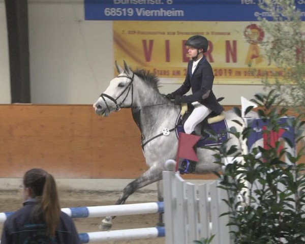 Reitturnier Viernheim 2019
