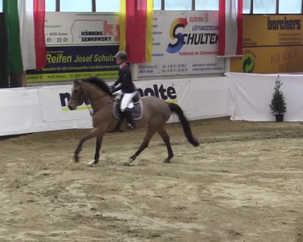 Reitturnier Borken 2019