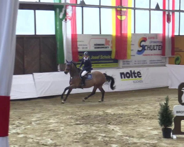 Reitturnier Borken 2019