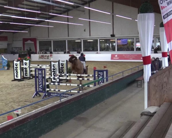 Reitturnier Borken 2019