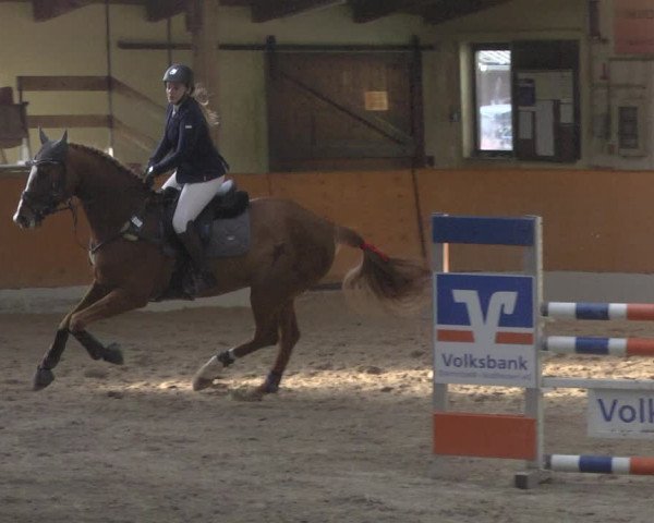 Reitturnier Viernheim 2019