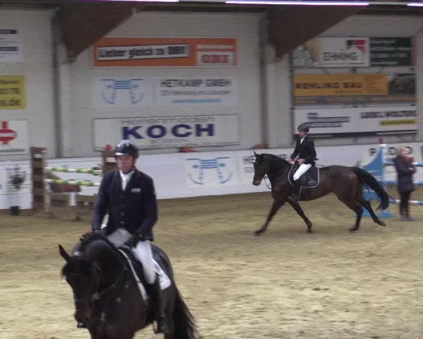 Reitturnier Borken 2019