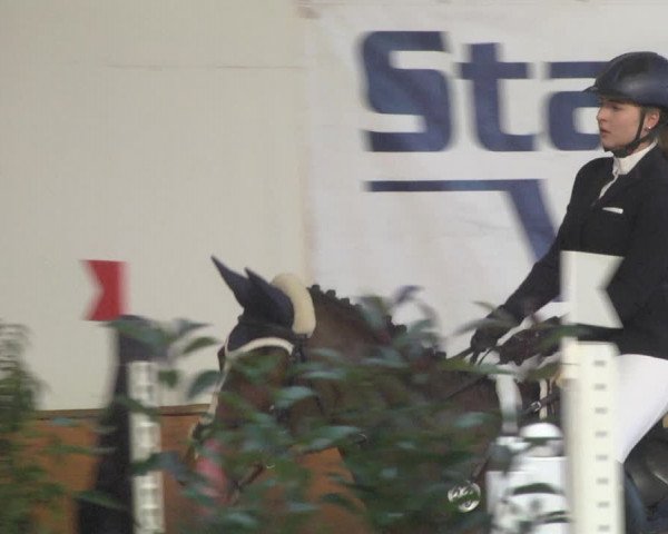 Reitturnier Viernheim 2019
