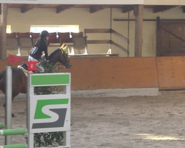 Reitturnier Viernheim 2019
