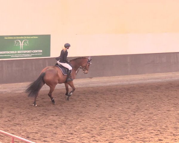 Reitturnier Dallgow 2019