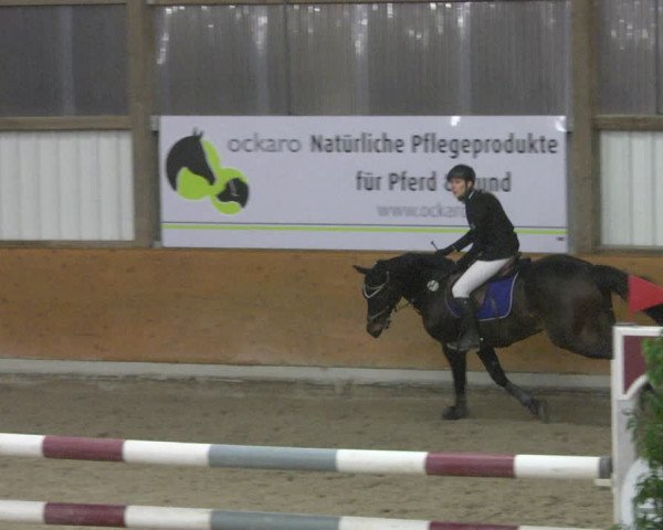 Reitturnier Viernheim 2019