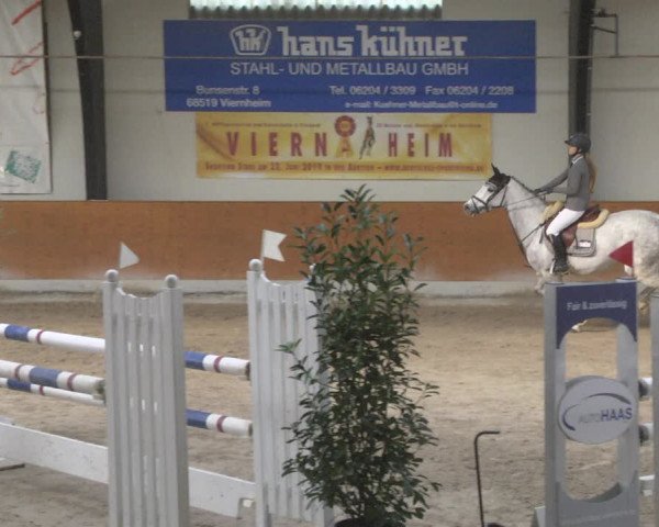Reitturnier Viernheim 2019