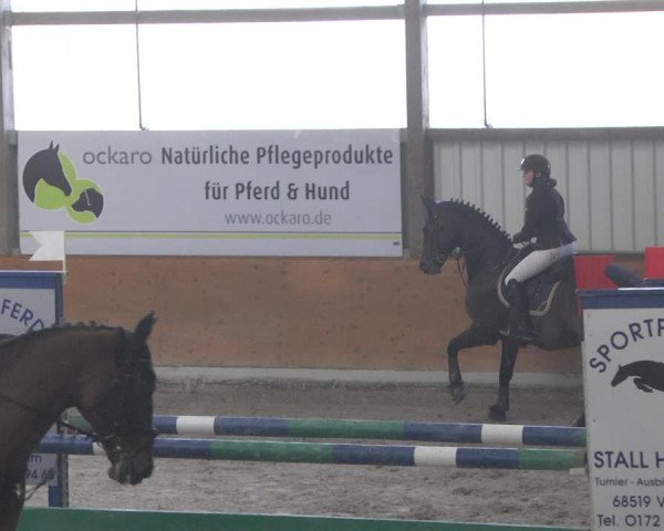 Reitturnier Viernheim 2019