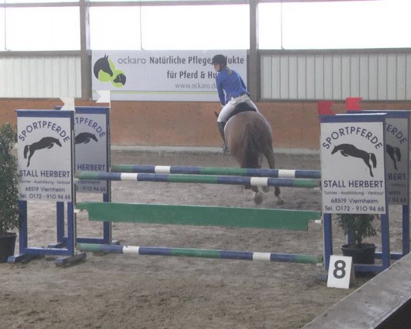 Reitturnier Viernheim 2019