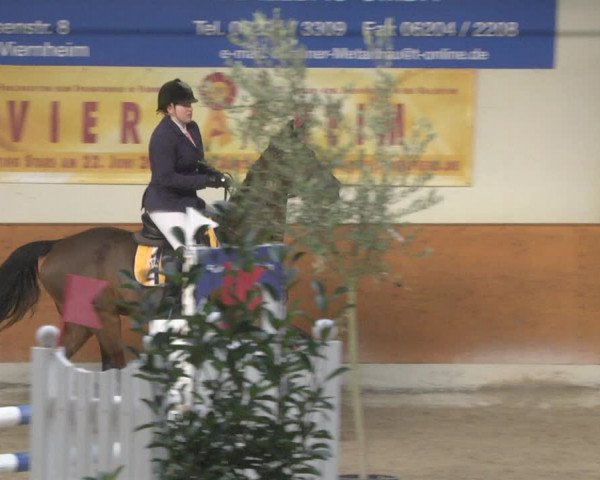 Reitturnier Viernheim 2019