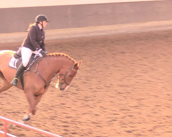 Reitturnier Dallgow 2019