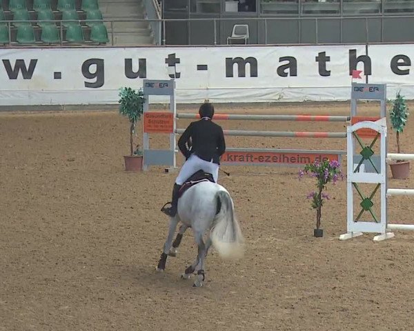 Reitturnier Kreuth/Opf. 2019