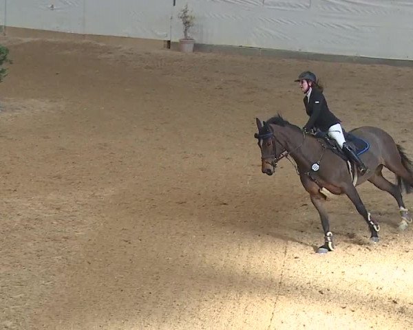 Reitturnier Kreuth/Opf. 2019