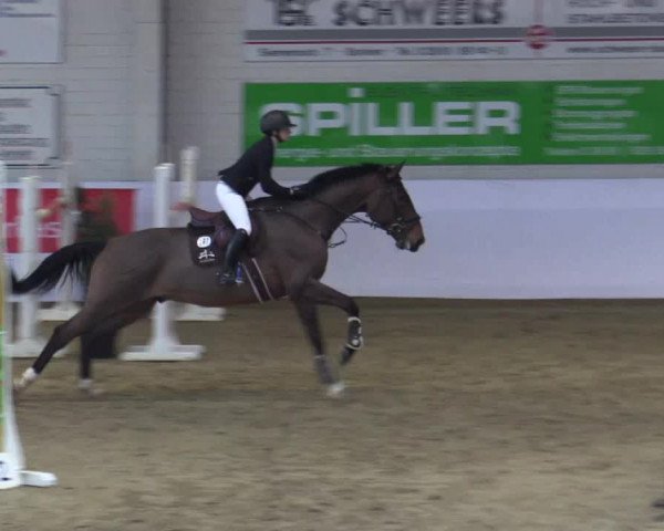 Reitturnier Borken 2019