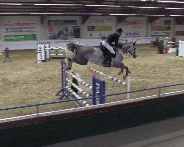 Reitturnier Borken 2019